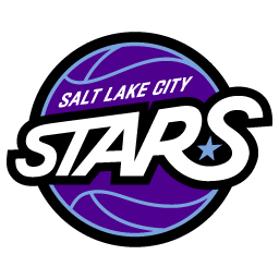 盐湖城星队标志