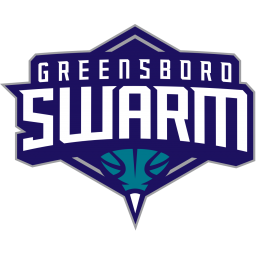 格林斯博罗蜂群队标志
