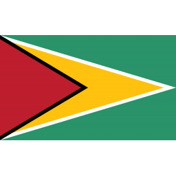 圭亚那U20队标志